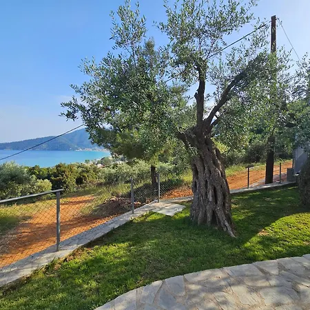 Black Goat 公寓 克里斯阿穆迪亚