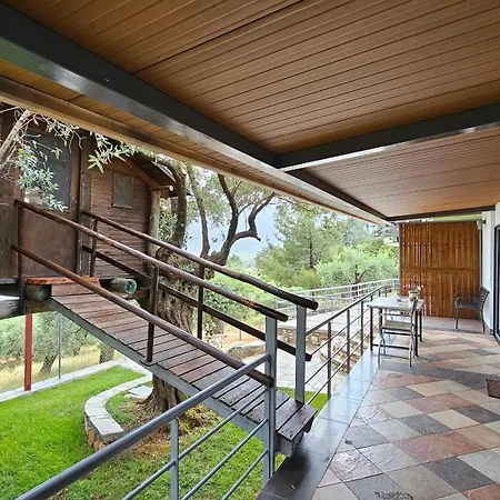 Апартаменты Black Goat Хриси-Амудия