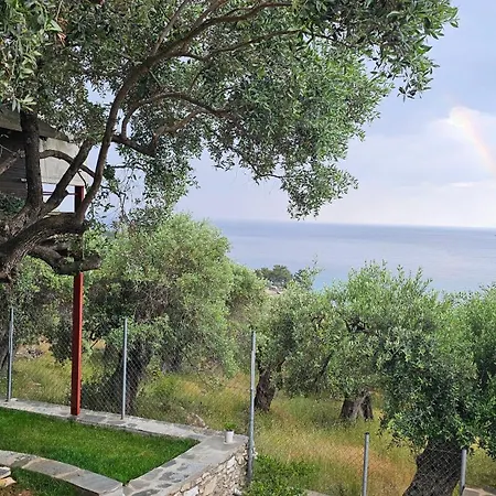 Black Goat * Хриси-Амудия