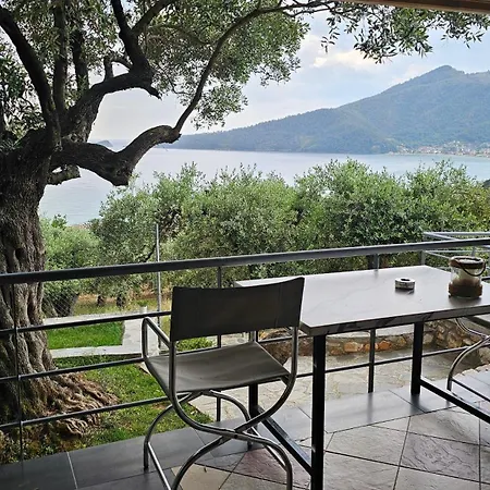 Black Goat Apartment