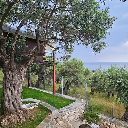 Black Goat Appartement *