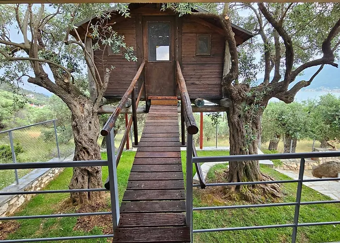 Black Goat 克里斯阿穆迪亚