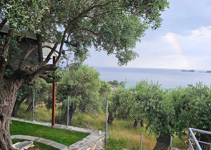 Black Goat * 克里斯阿穆迪亚