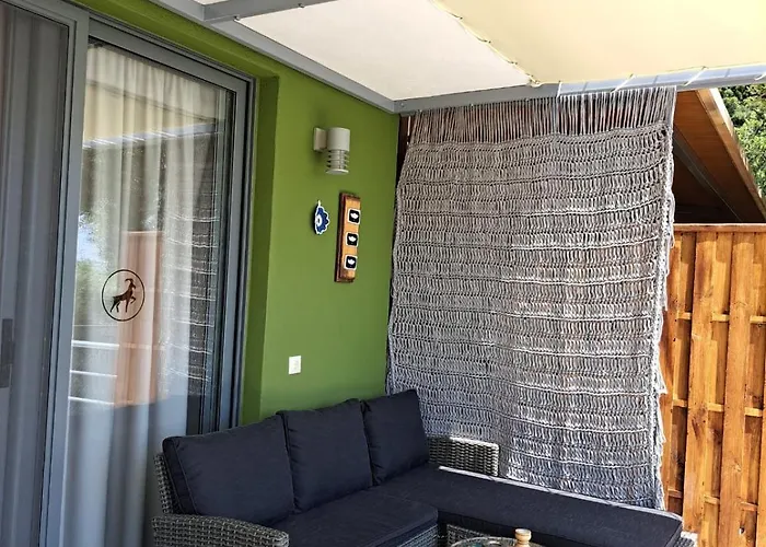 Black Goat 克里斯阿穆迪亚